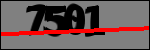 متن برای شناسایی