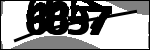 متن برای شناسایی
