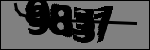 متن برای شناسایی