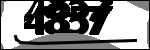 متن برای شناسایی