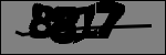 متن برای شناسایی