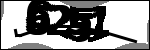 متن برای شناسایی