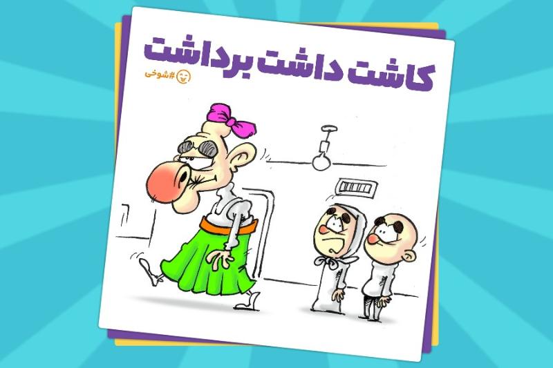 کاشت داشت برداشت