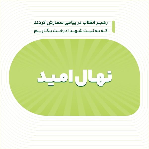 نهال امید
