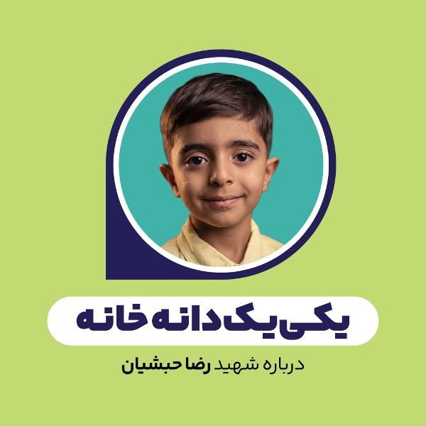 یکی‌یک‌دانه خانه