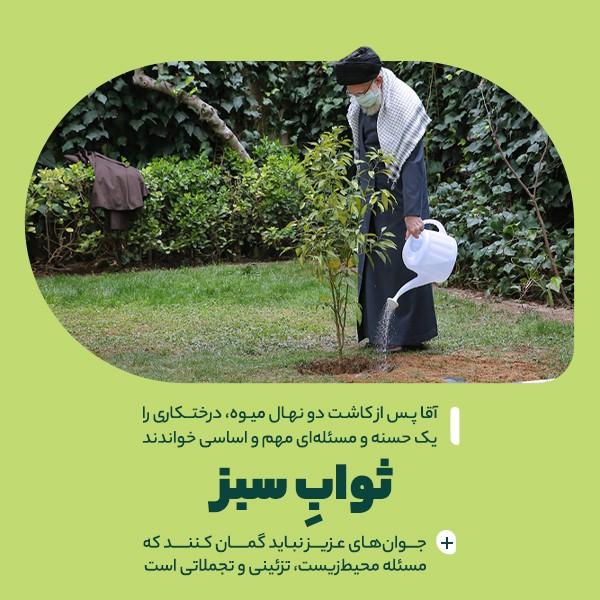 ثواب سبز
