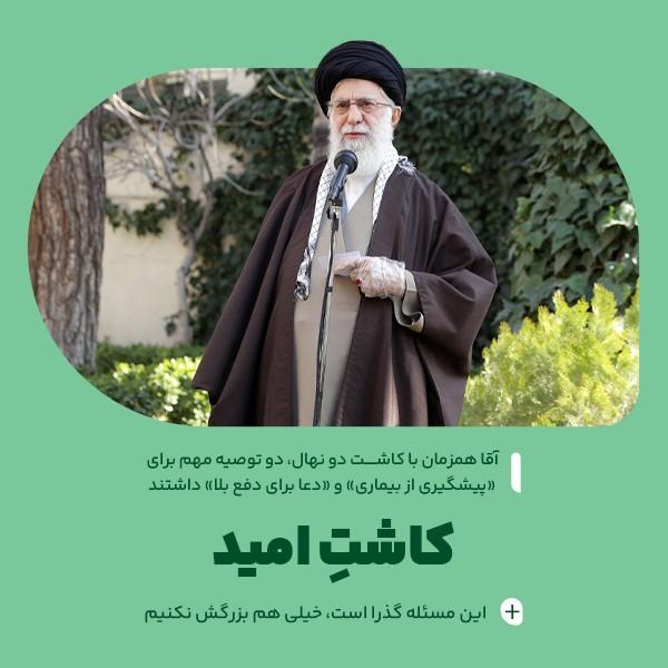 کاشتِ امید