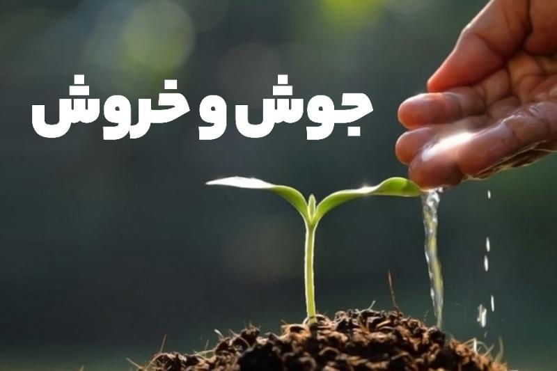 جوش و خروش