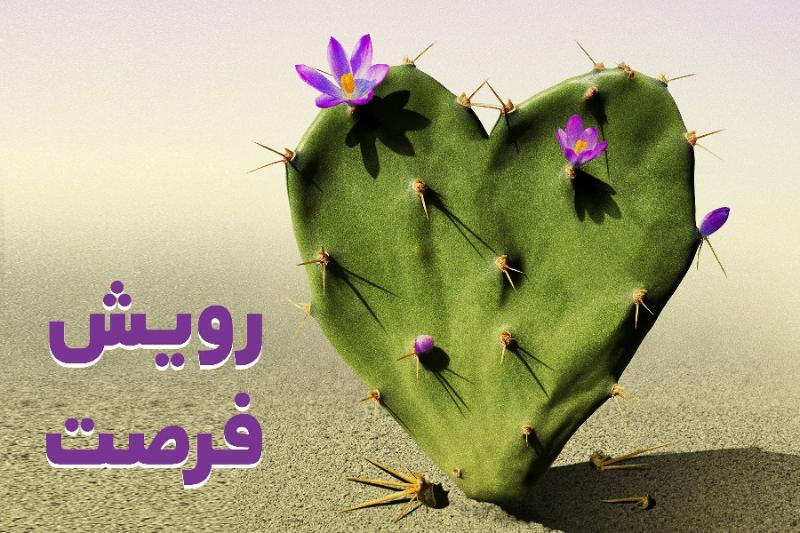 رویش فرصت
