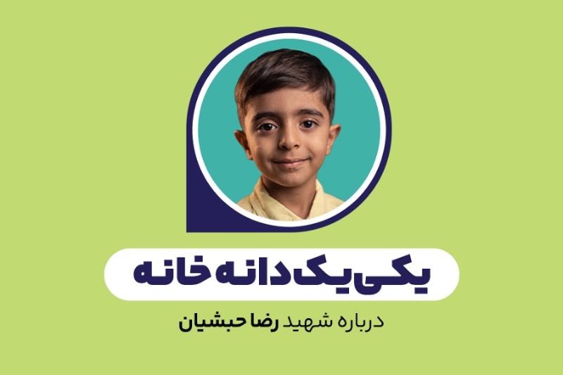 یکی‌یک‌دانه خانه