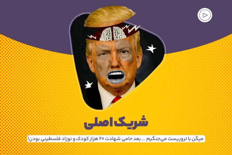 شریک اصلی