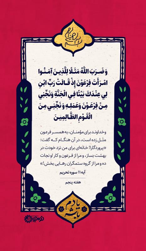 زنان الگو