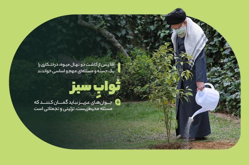 ثواب سبز
