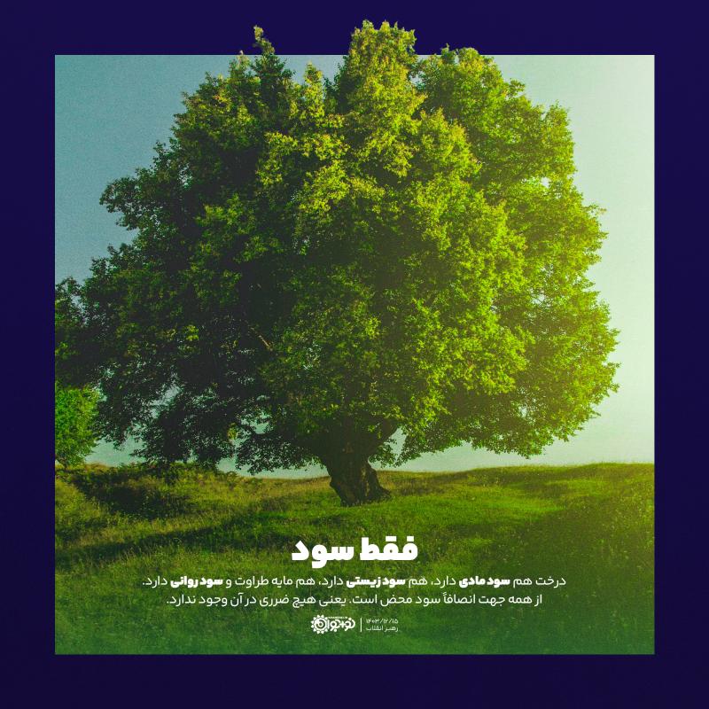 فقط سود