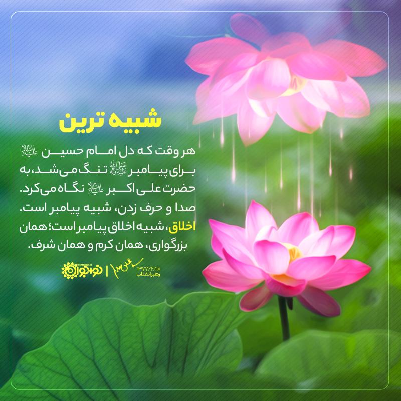 شبیه‌ترین