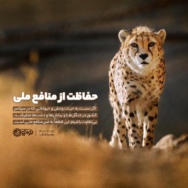 حفاظت از منافع ملی