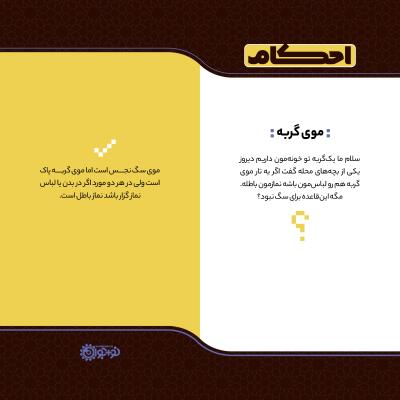 موی گربه