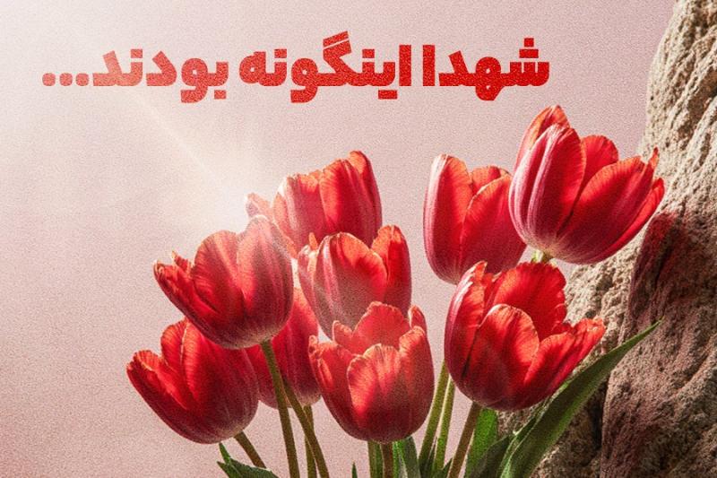 شهدا اینگونه بودند...