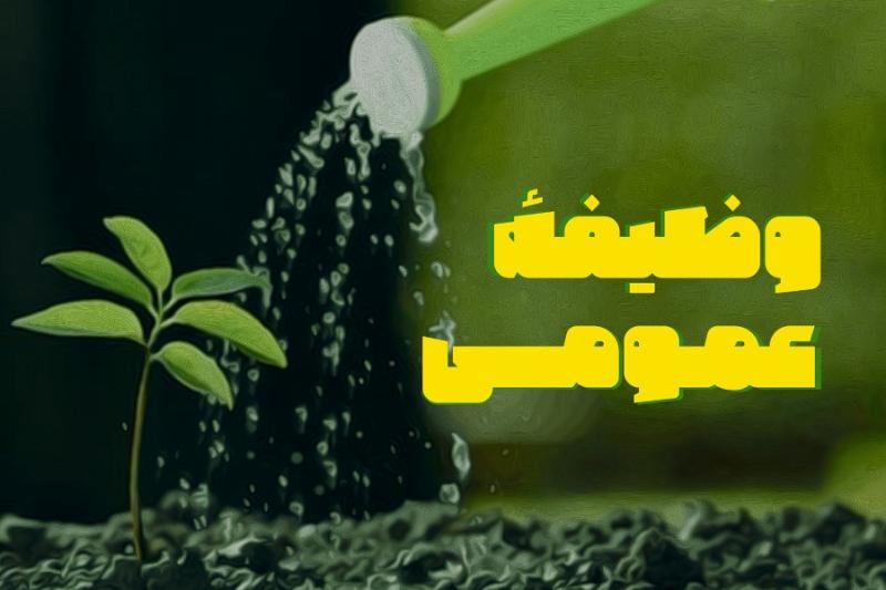وظیفه عمومی